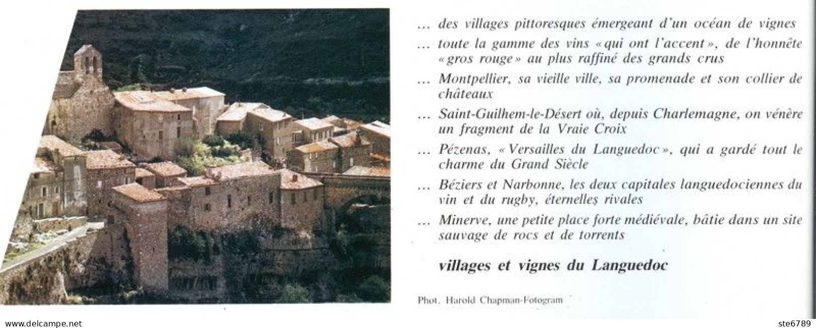 VILLAGES ET VIGNES DU LANGUEDOC  Revue Photos 1981 BEAUTES DE LA FRANCE N° 57 - Géographie