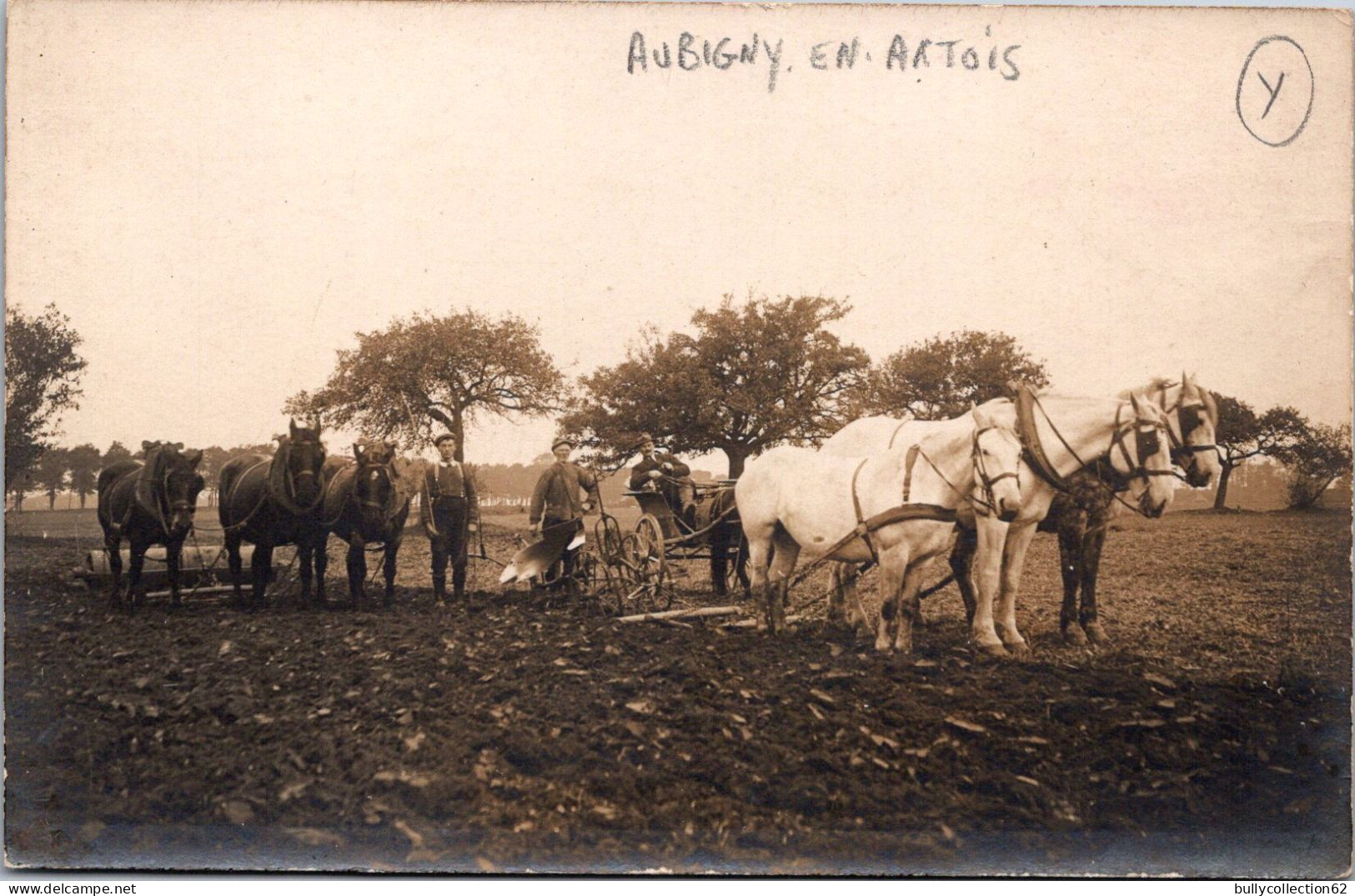 CPA - SELECTION -  AUBIGNY EN ARTOIS -  CARTE PHOTO - Ferme Breuvart Travaux Des Champs 1929.(raretée) - Aubigny En Artois