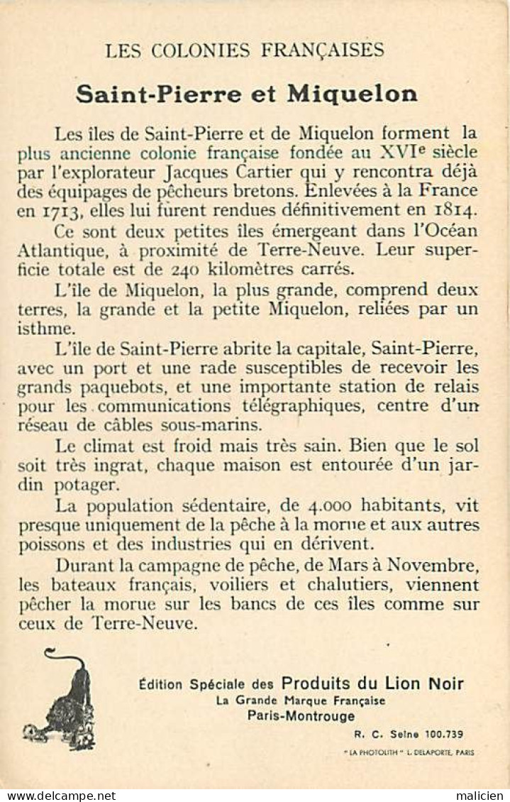 -pays Div.-ref-EE482- Les Colonies Françaises - Saint Pierre Et Miquelon -  Publicité Lion Noir - - Saint-Pierre-et-Miquelon