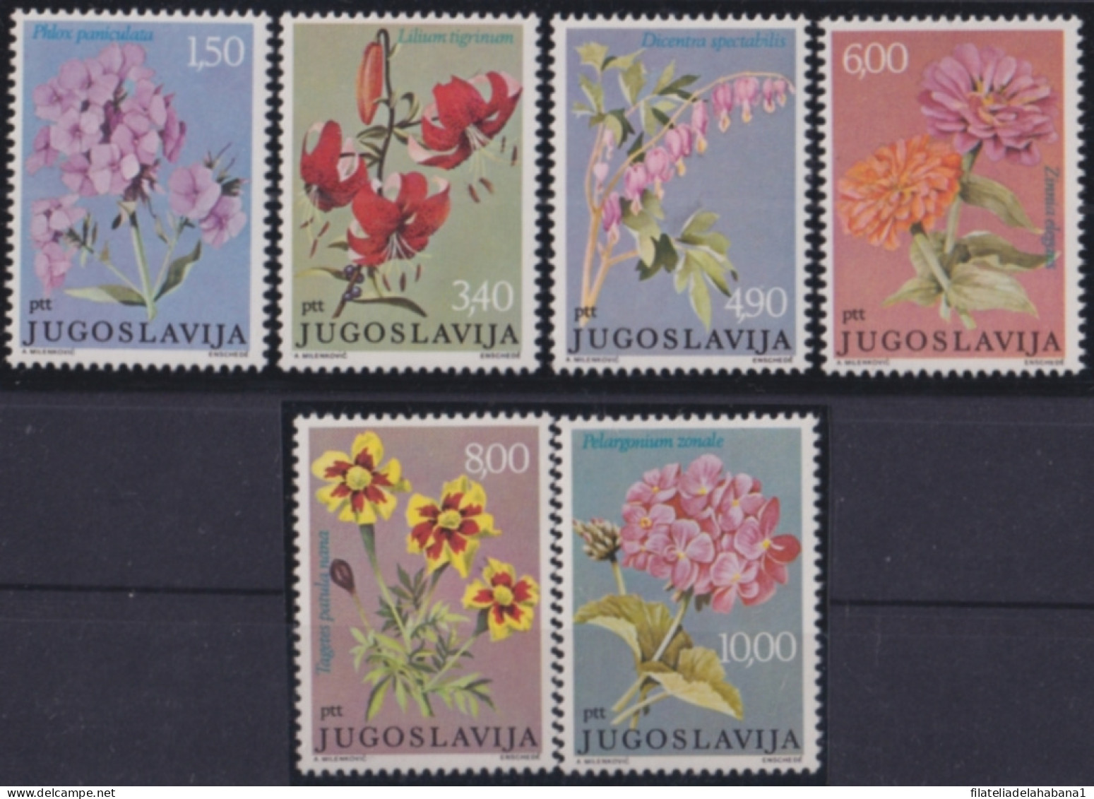 F-EX48188 YUGOSLAVIA MNH 1977 PTT FLOWER FLORES.  - Altri & Non Classificati