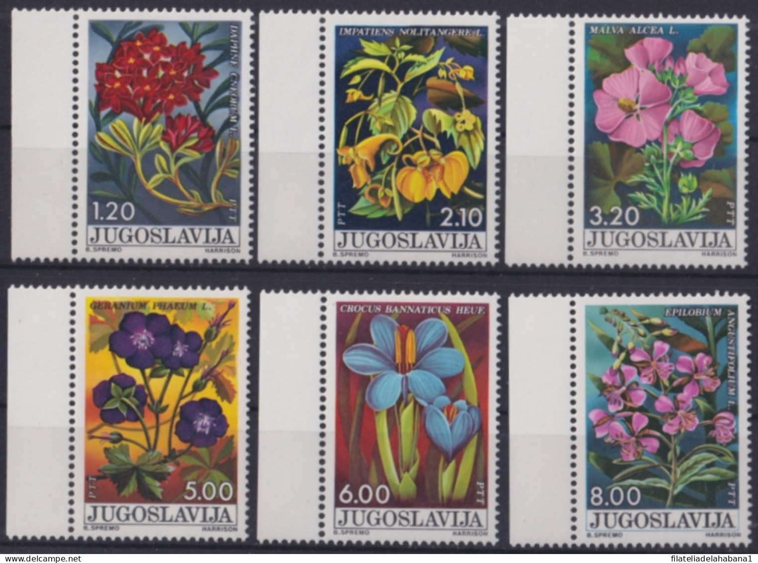 F-EX48190 YUGOSLAVIA MNH PTT FLOWER FLORES.  - Altri & Non Classificati