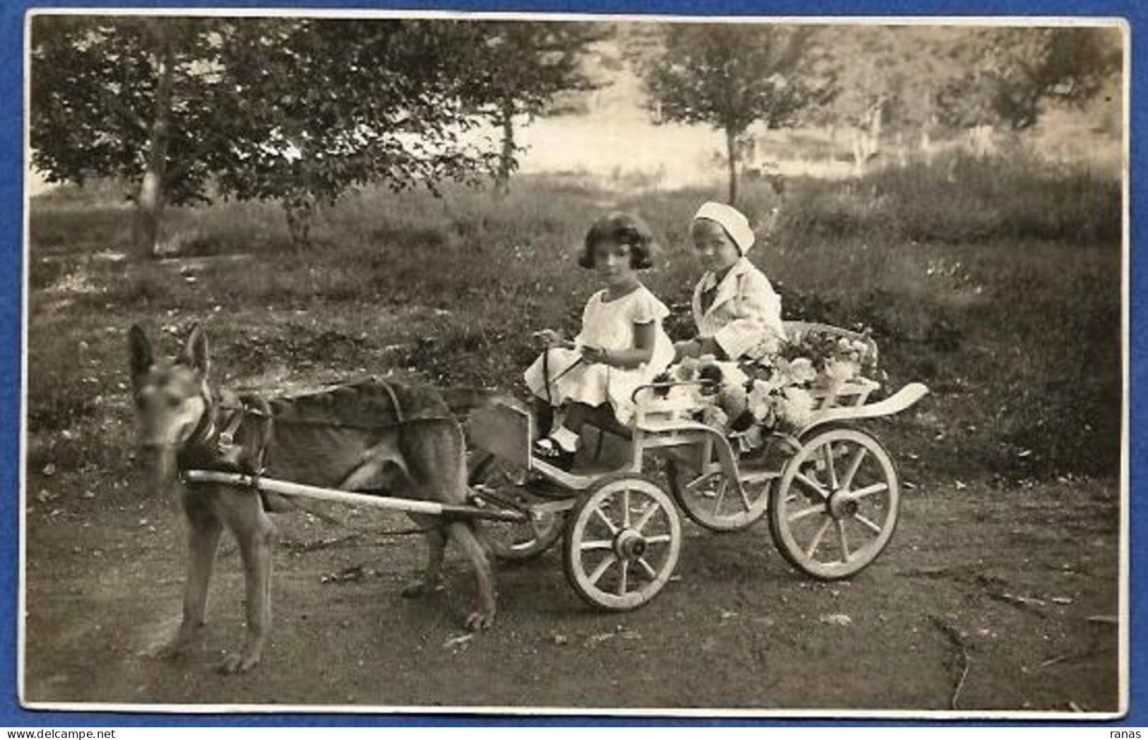 CPA Voiture à Chien VARNA Ou BANIA SERBIE Carte Photo RPPC écrite Voir Scan Du Dos - Serbie