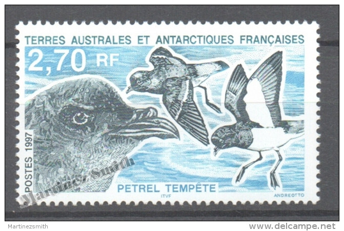 TAAF French Southern And Antarctic Territories 1997 Yvert 214, Antarctic Fauna - MNH - Neufs