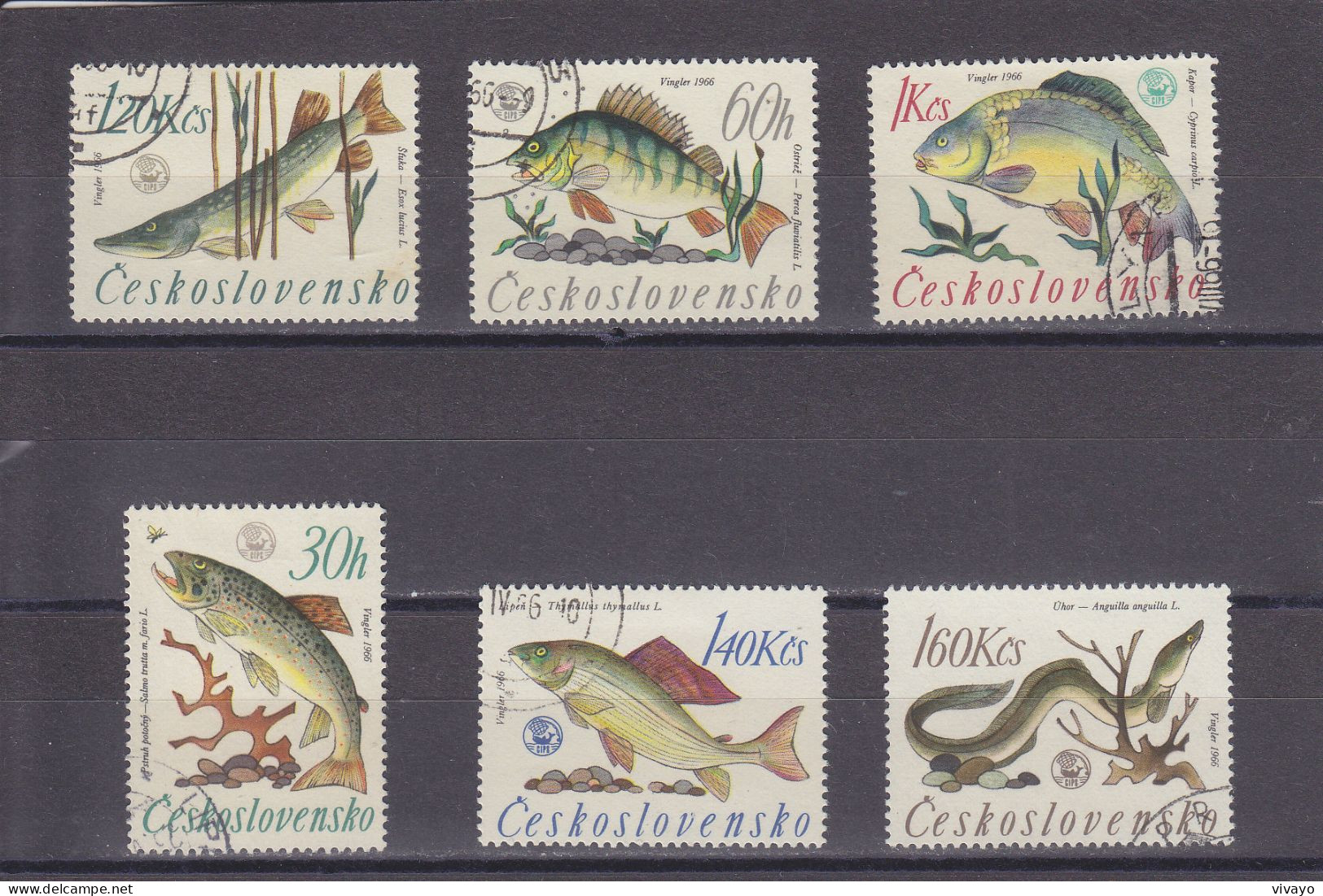 CSSR - CZECHOSLOVAKIA - O / FINE CANCELLED - 1966 - SPORT FISHING - SWEET WATER FISHES - Mi. 1609/14 - Used Stamps