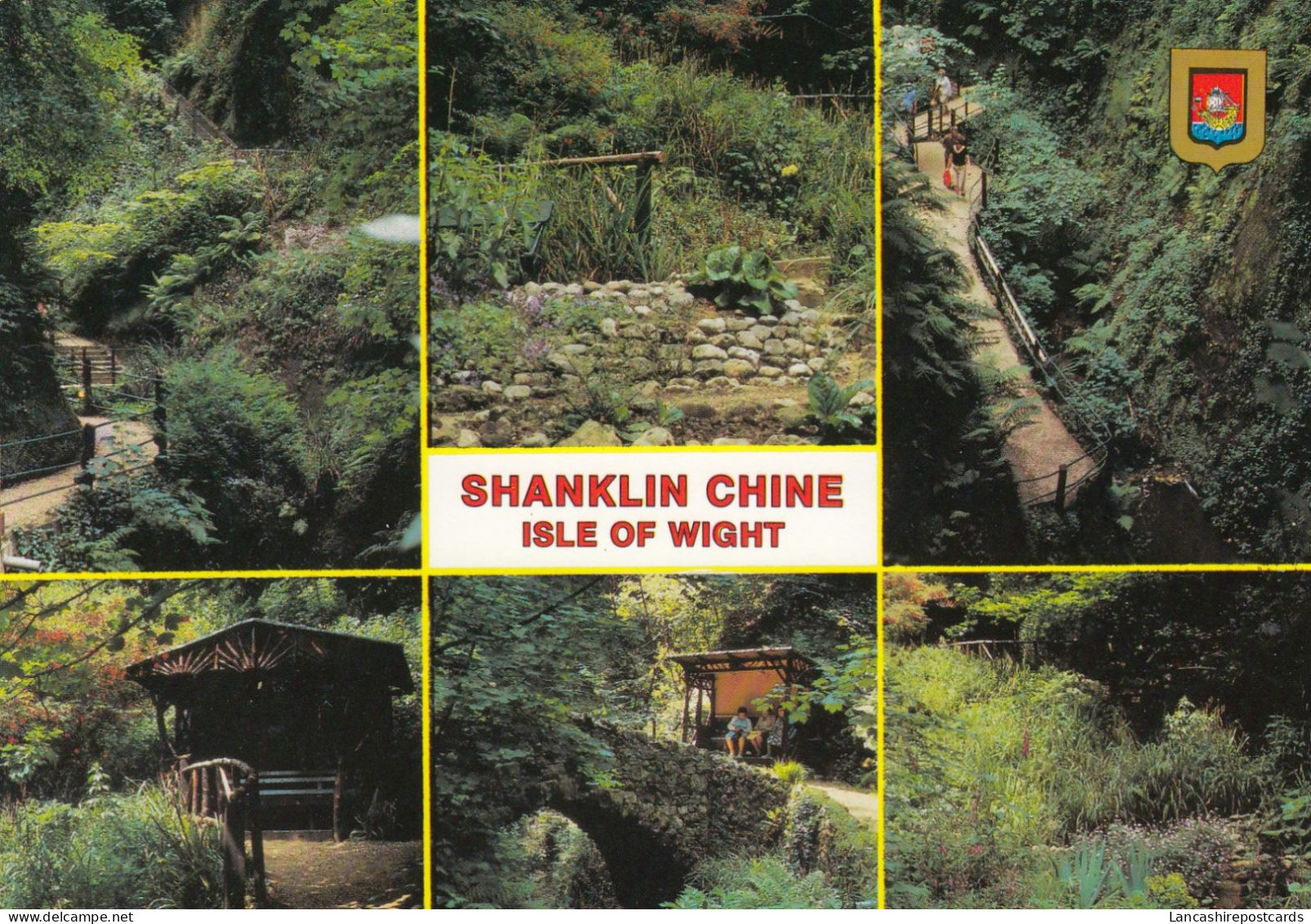 Postcard Shanklin Chine Isle Of Wight [ Nigh ] My Ref B26350 - Shanklin