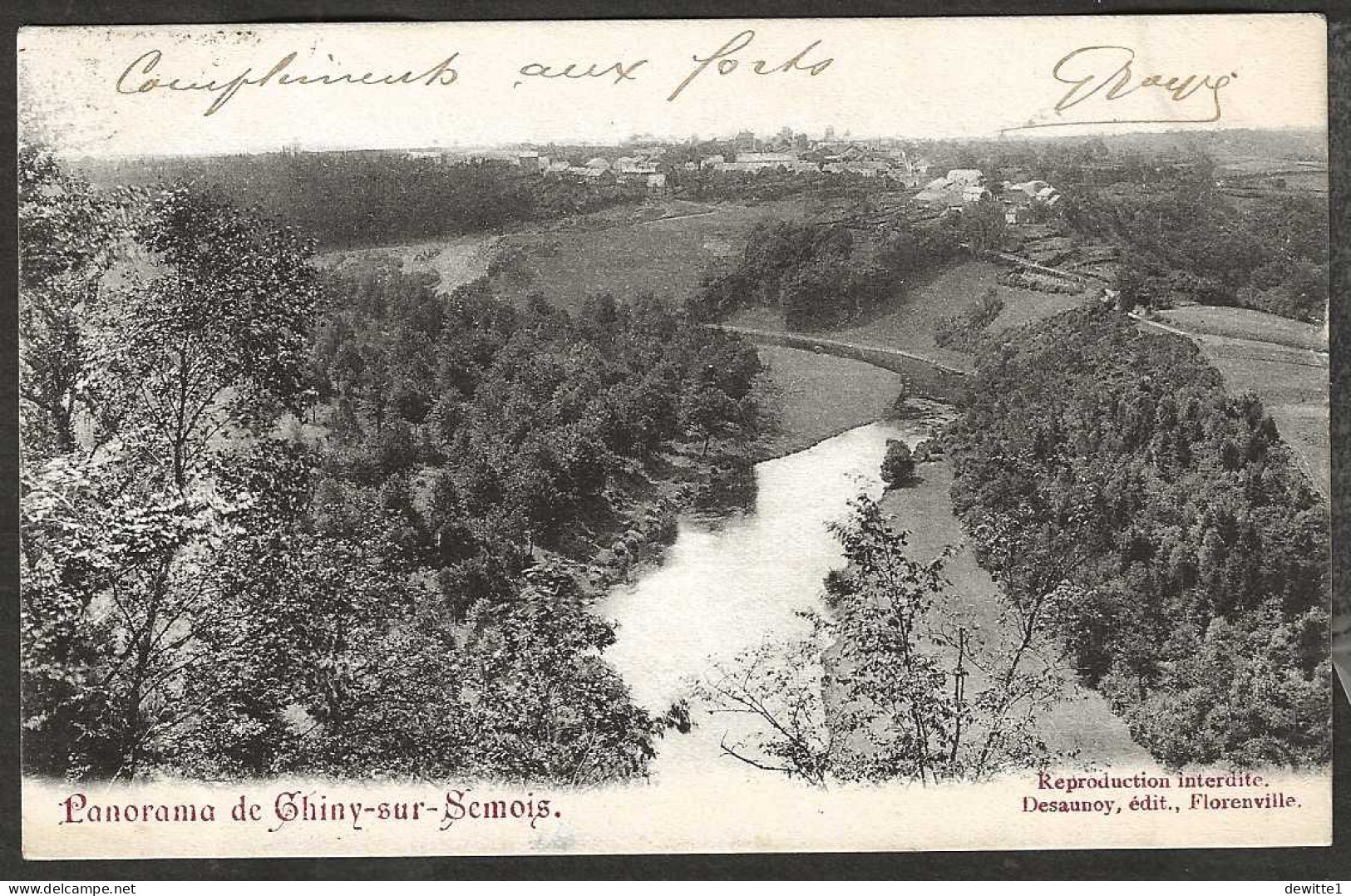 Chiny.      Panorama De Chiny-sur-Semois. - Chiny