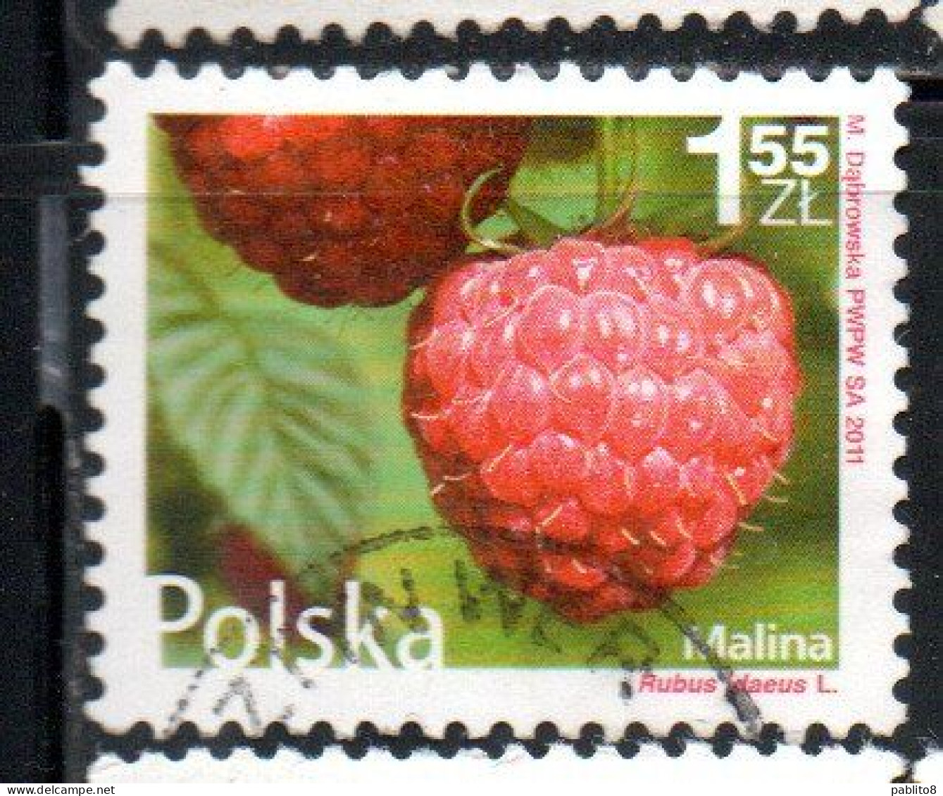 POLONIA POLAND POLSKA 2011 FRUIT AND FLOWERS RUBUS IDAEUS 1.55z USED USATO OBLITERE' - Used Stamps