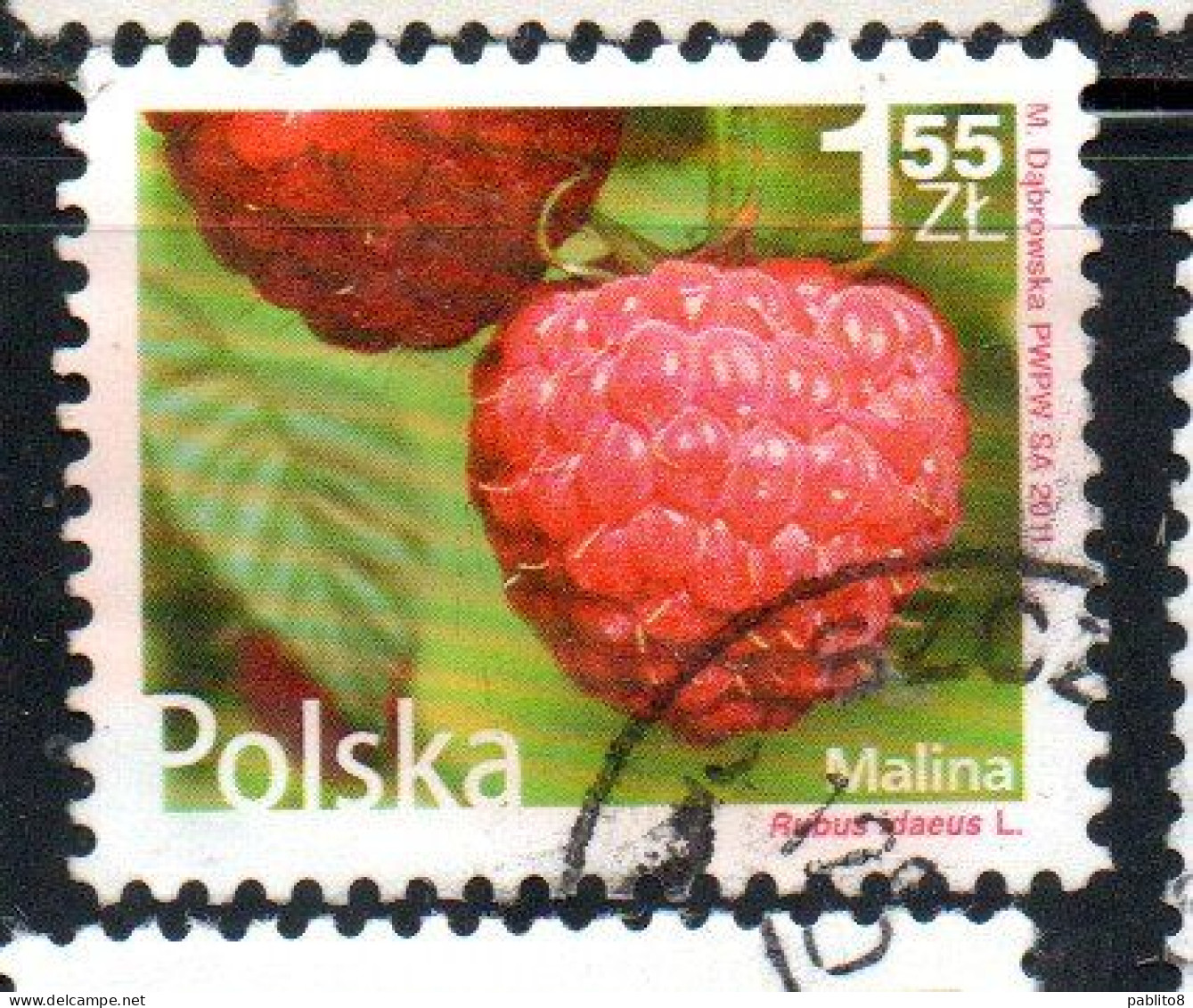 POLONIA POLAND POLSKA 2011 FRUIT AND FLOWERS RUBUS IDAEUS 1.55z USED USATO OBLITERE' - Used Stamps