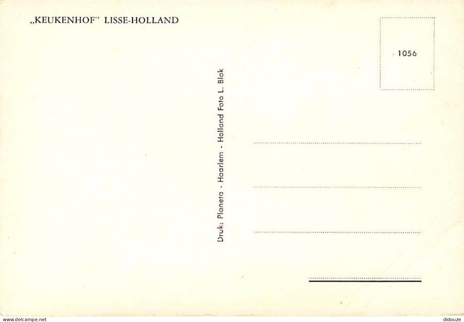 Pays-Bas - Nederland - Lisse - Keukenhof - Fleurs - CPM - Voir Scans Recto-Verso - Lisse