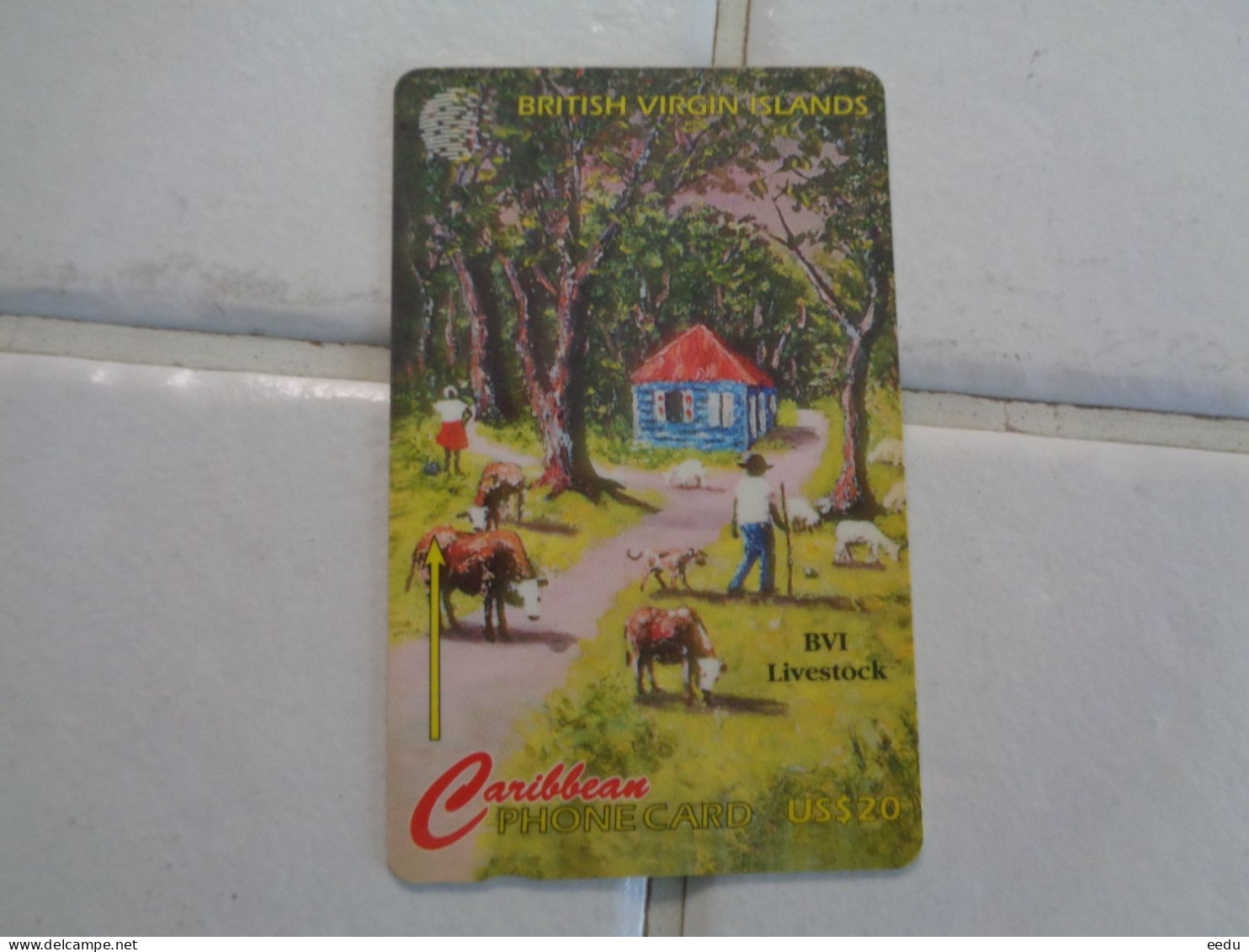 British Virgin Islands Phonecard - Jungferninseln (Virgin I.)