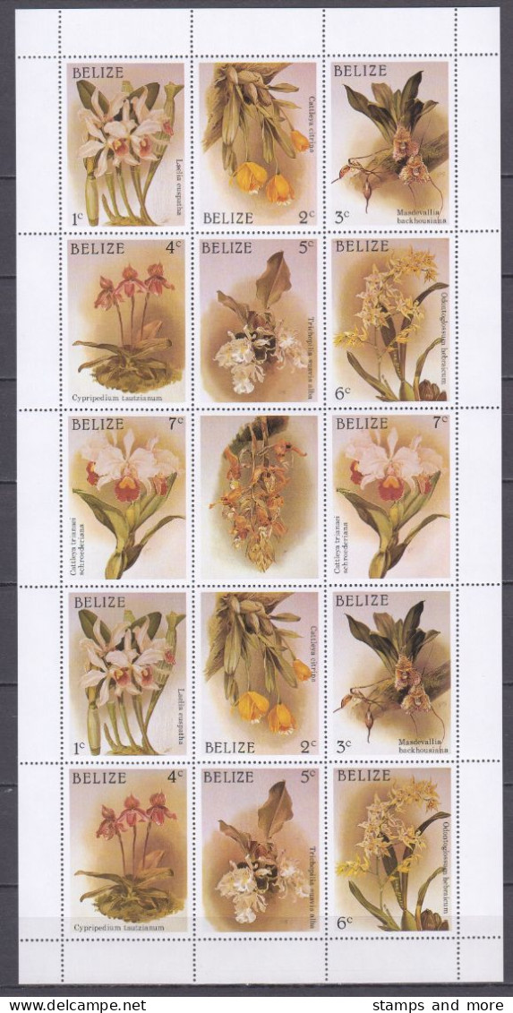 Belize 1987 Kleinbogen Set Mi 973-986 + Block 94 MNH ORCHIDS - Orchidee