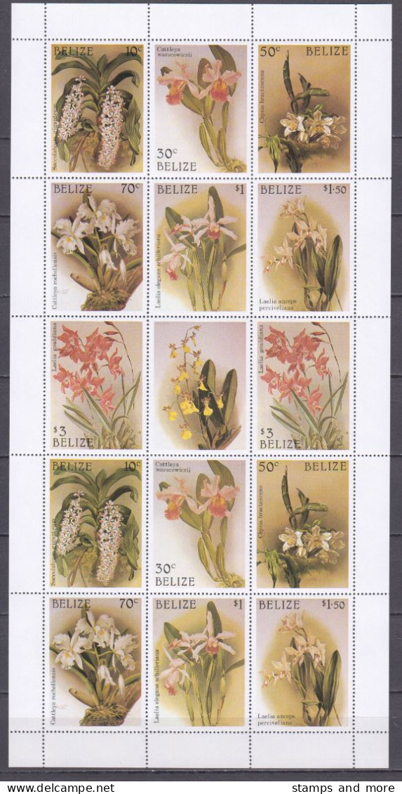 Belize 1987 Kleinbogen Set Mi 973-986 + Block 94 MNH ORCHIDS - Orchidee