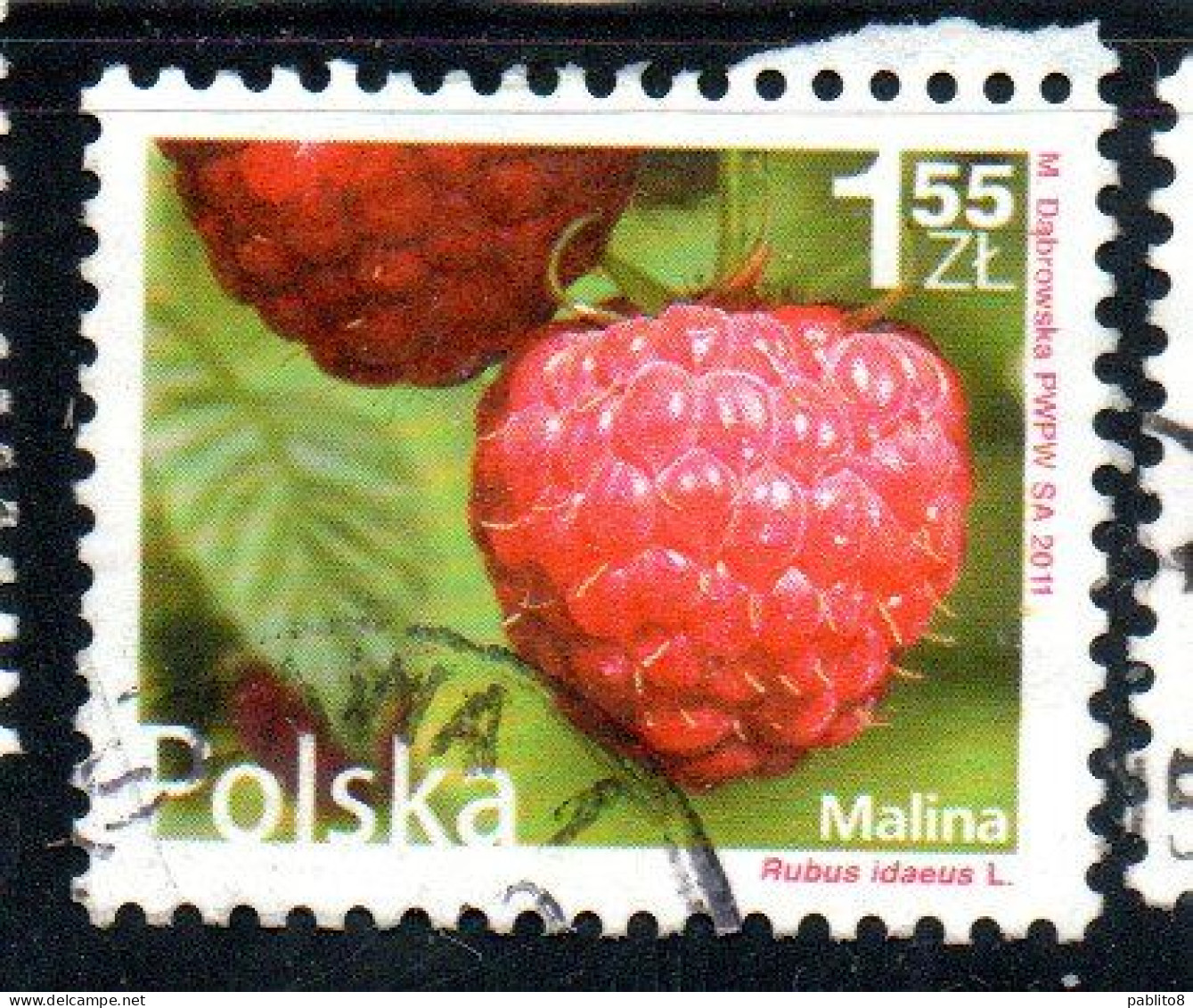 POLONIA POLAND POLSKA 2011 FRUIT AND FLOWERS RUBUS IDAEUS 1.55z USED USATO OBLITERE' - Used Stamps