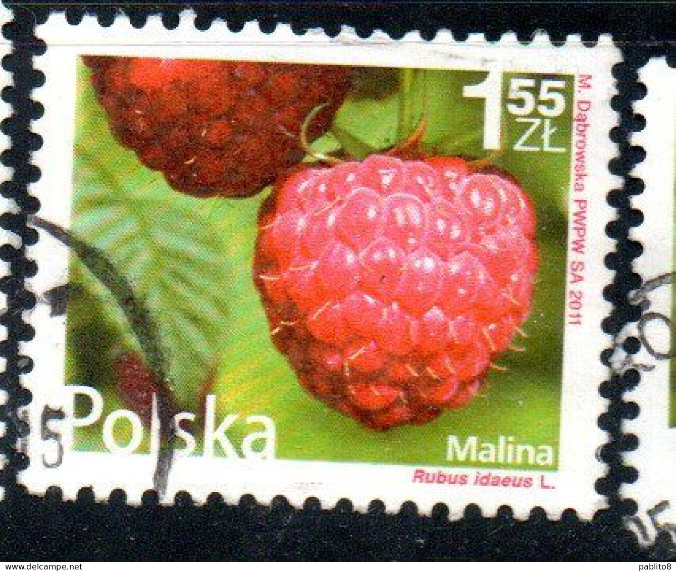 POLONIA POLAND POLSKA 2011 FRUIT AND FLOWERS RUBUS IDAEUS 1.55z USED USATO OBLITERE' - Gebruikt