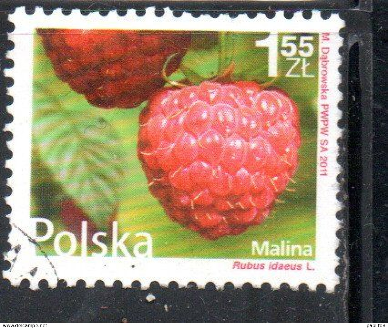 POLONIA POLAND POLSKA 2011 FRUIT AND FLOWERS RUBUS IDAEUS 1.55z USED USATO OBLITERE' - Gebraucht