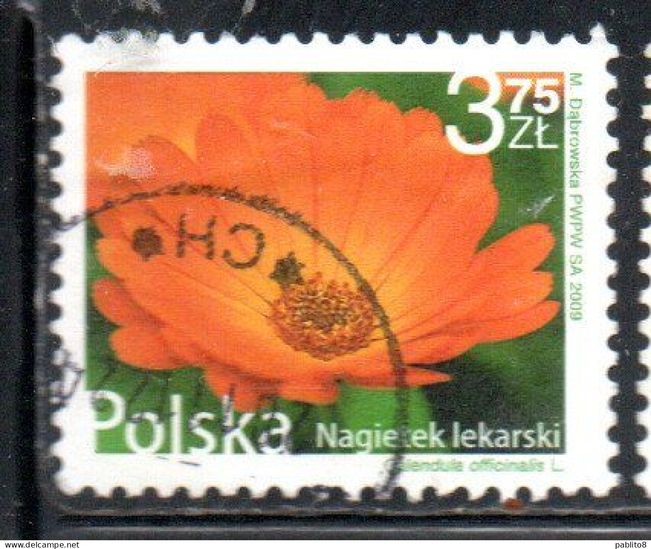 POLONIA POLAND POLSKA 2009 FRUIT AND FLOWERS CALENDULA OFFICINALIS 3.75z USED USATO OBLITERE' - Used Stamps