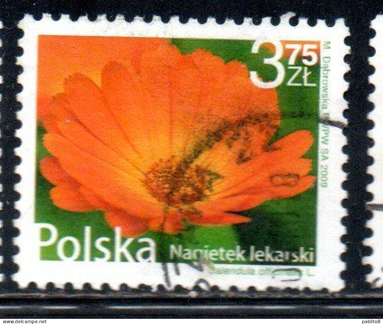 POLONIA POLAND POLSKA 2009 FRUIT AND FLOWERS CALENDULA OFFICINALIS 3.75z USED USATO OBLITERE' - Used Stamps