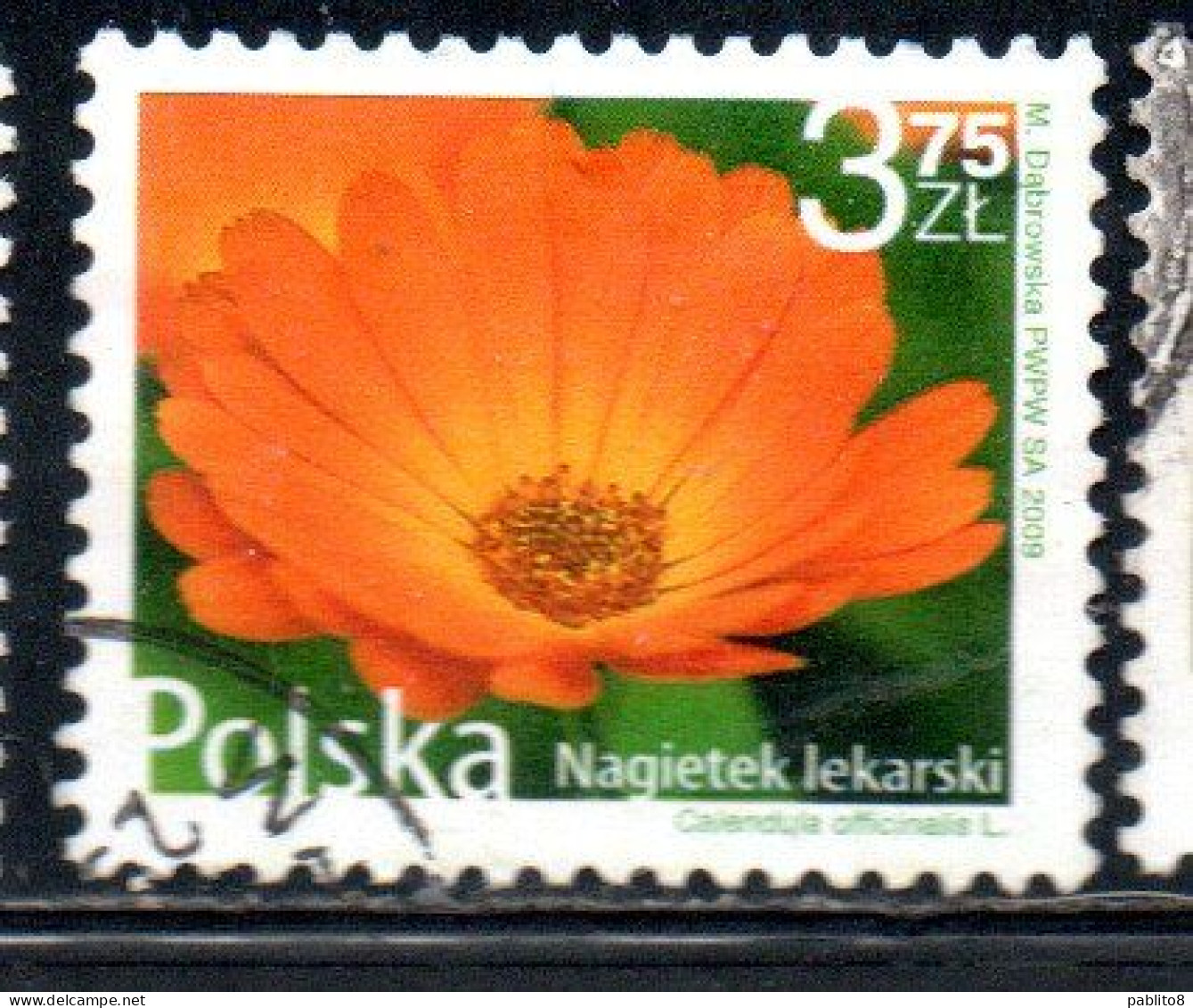 POLONIA POLAND POLSKA 2009 FRUIT AND FLOWERS CALENDULA OFFICINALIS 3.75z USED USATO OBLITERE' - Used Stamps