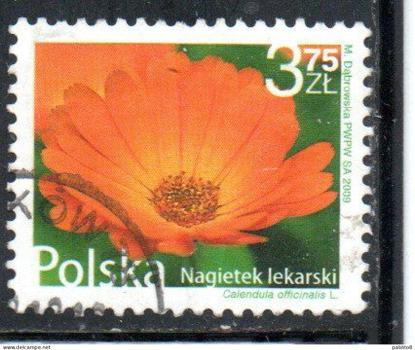 POLONIA POLAND POLSKA 2009 FRUIT AND FLOWERS CALENDULA OFFICINALIS 3.75z USED USATO OBLITERE' - Oblitérés