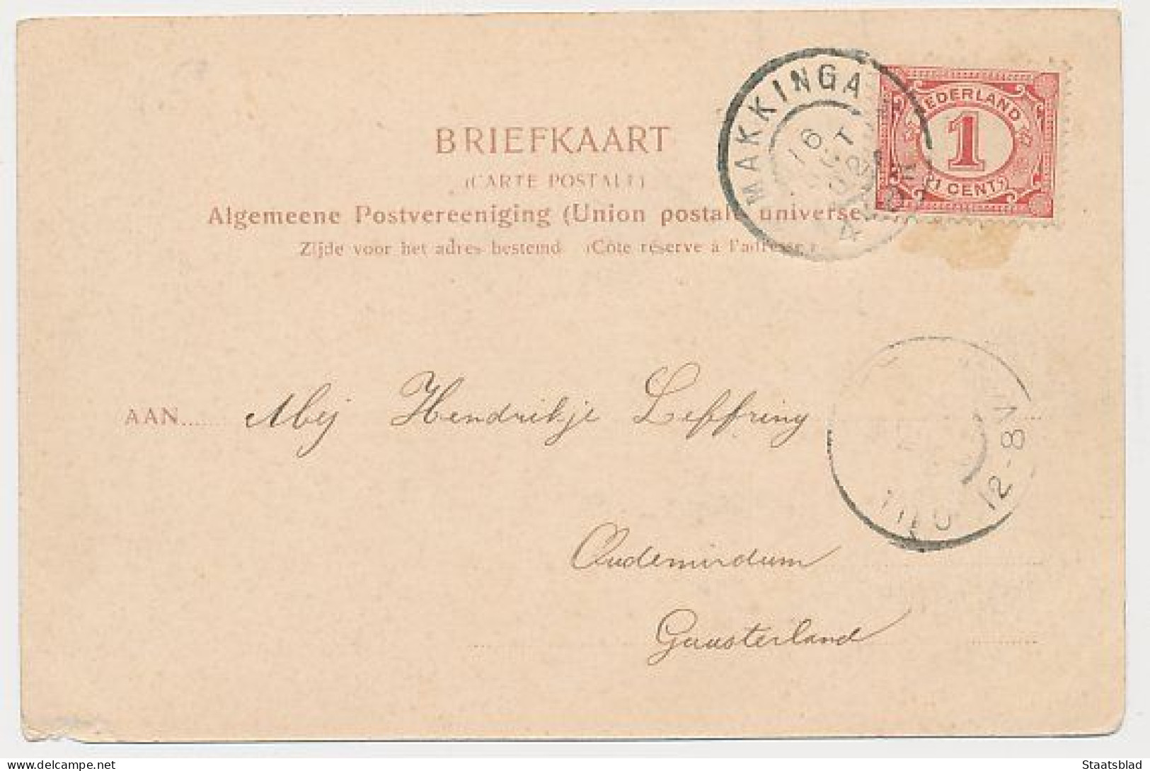 10- Prentbriefkaart Heerenveen 1902 - Stationsweg - Grootrondstempel: Makkinga - Heerenveen