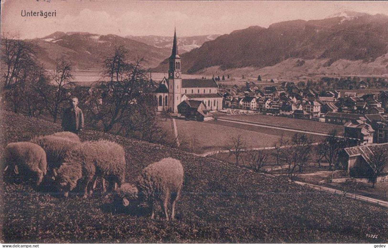 Unterägeri ZG, Village Et Moutons (16.8.1922) - Unterägeri