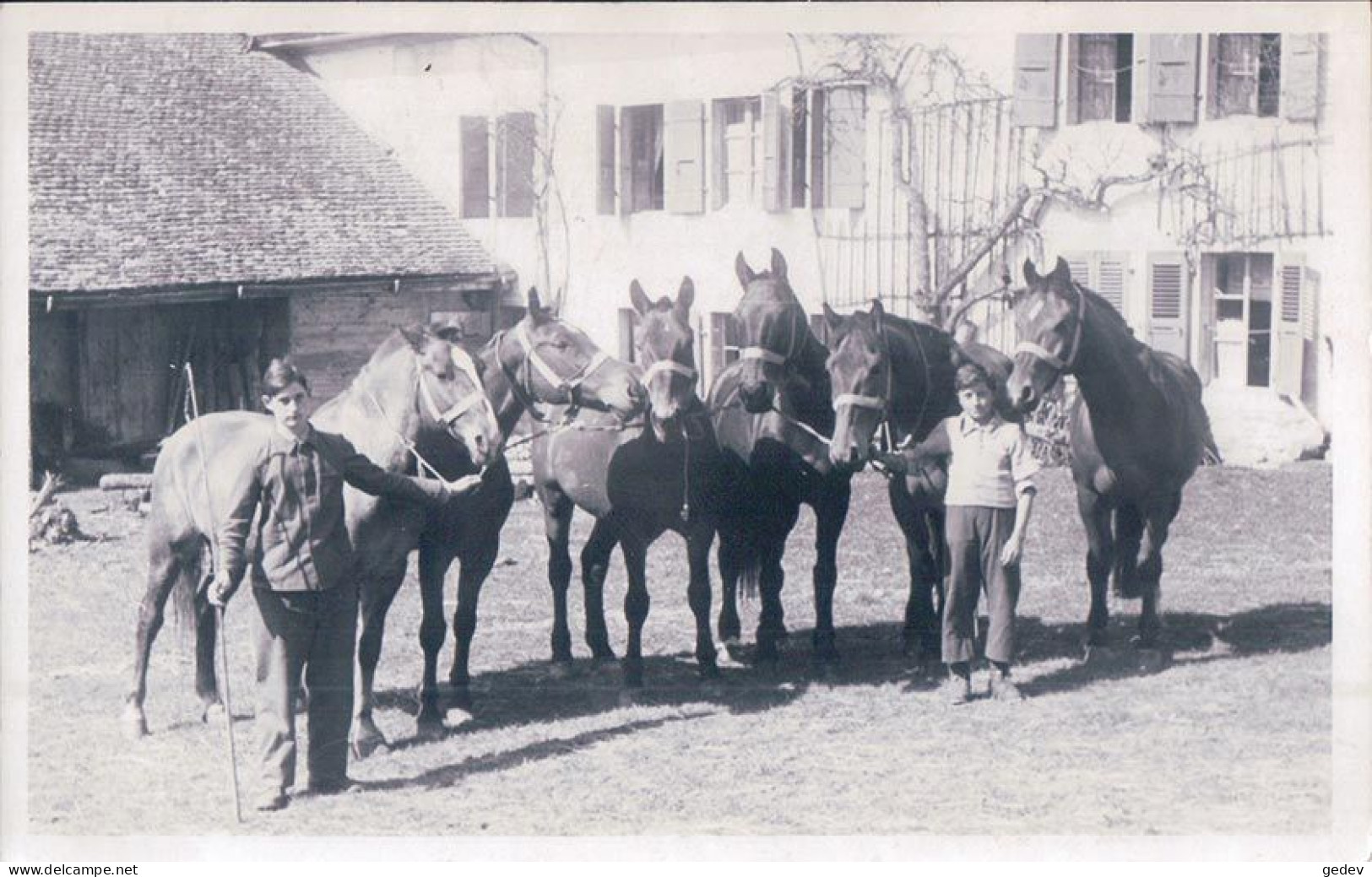 Bière VD, Présentation Des Chevaux Devant La Ferme (60905) Photo Jotterand - Bière