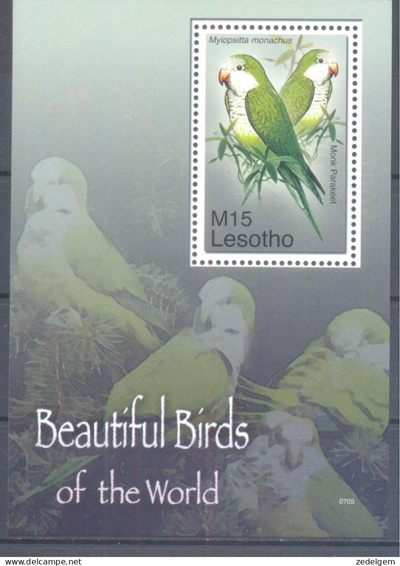 LESOTHO (VOG039) XC - Parrots