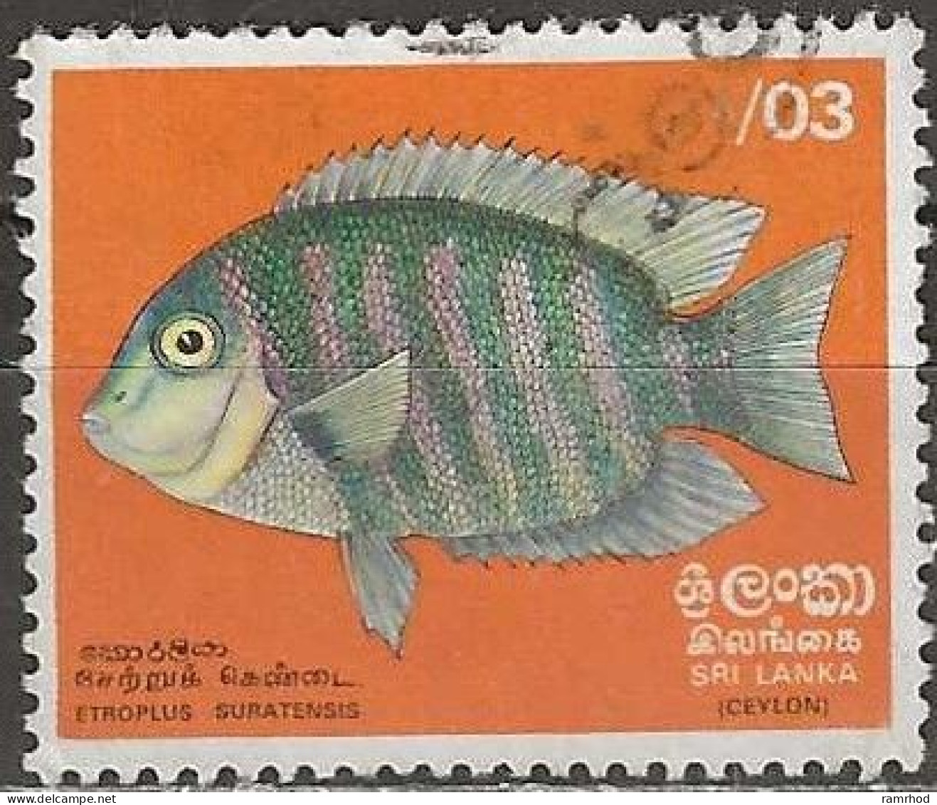 SRI LANKA 1972 Fish - 3c. - Green Chromide FU - Sri Lanka (Ceylon) (1948-...)