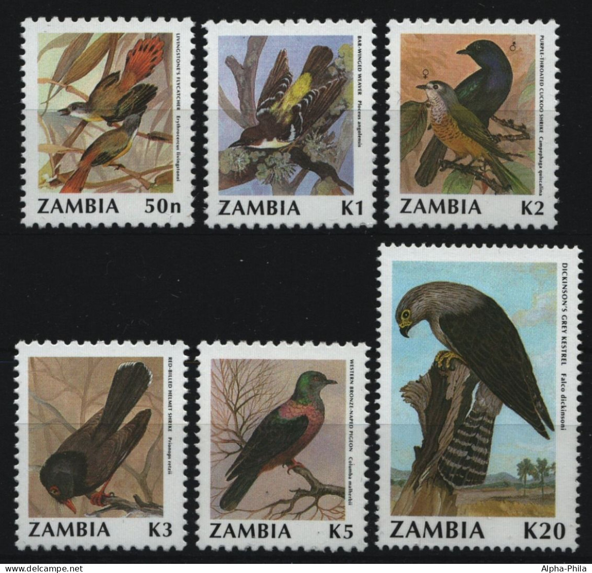 Sambia 1991 - Mi-Nr. 544-549 ** - MNH - Vögel / Birds - Zambie (1965-...)