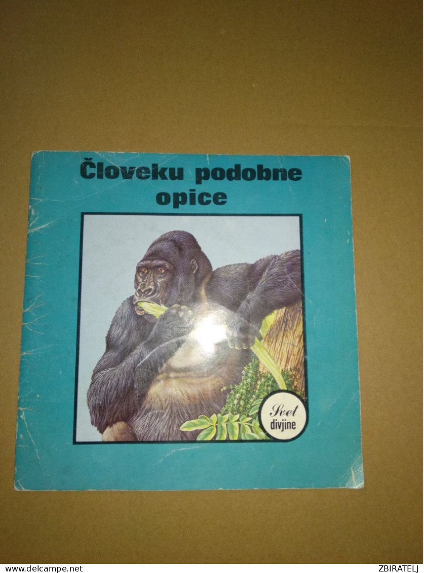 Slovenščina Knjiga: Otroška ČLOVEKU PODOBNE OPICE - Langues Slaves