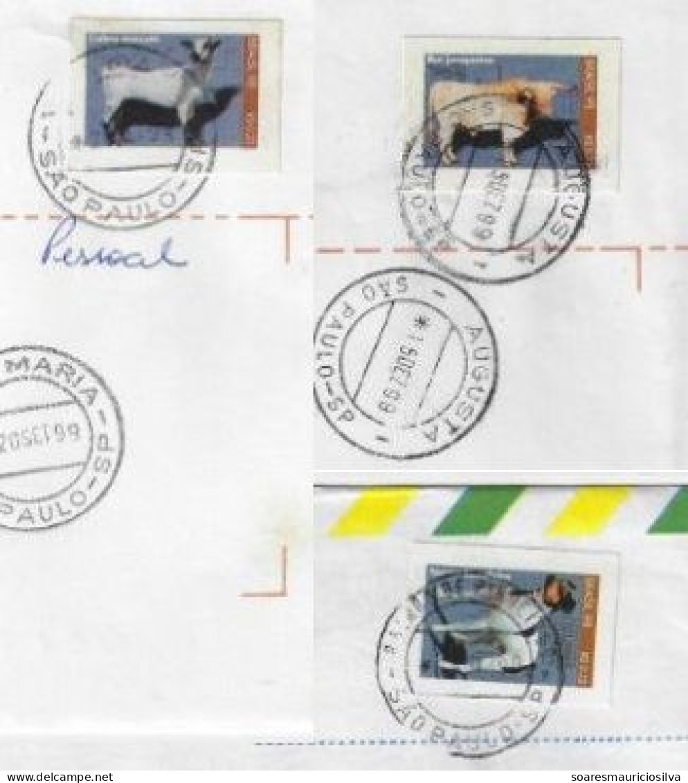 Brazil 1999 3 Shipped Cover With Definitive Stamp RHM-760 Moxotó Goat 762 Junqueira Ox 763 Brazilian Terrier Dog - Brieven En Documenten