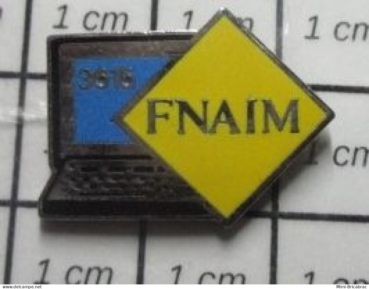 1320 Pin's Pins / Beau Et Rare / INFORMATIQUE . MINITEL 3615 FNAIM - Computers