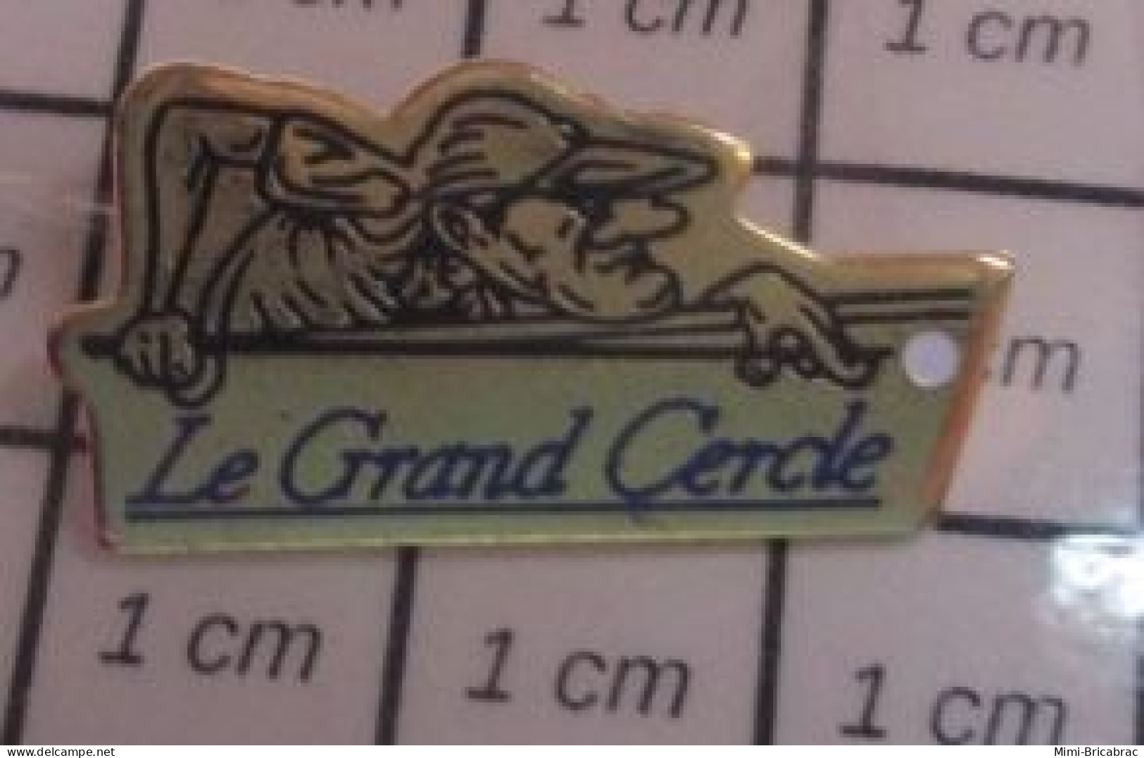 115A Pin's Pins / Beau Et Rare / SPORTS / BILLARD LE GRAND  CERCLE - Billard