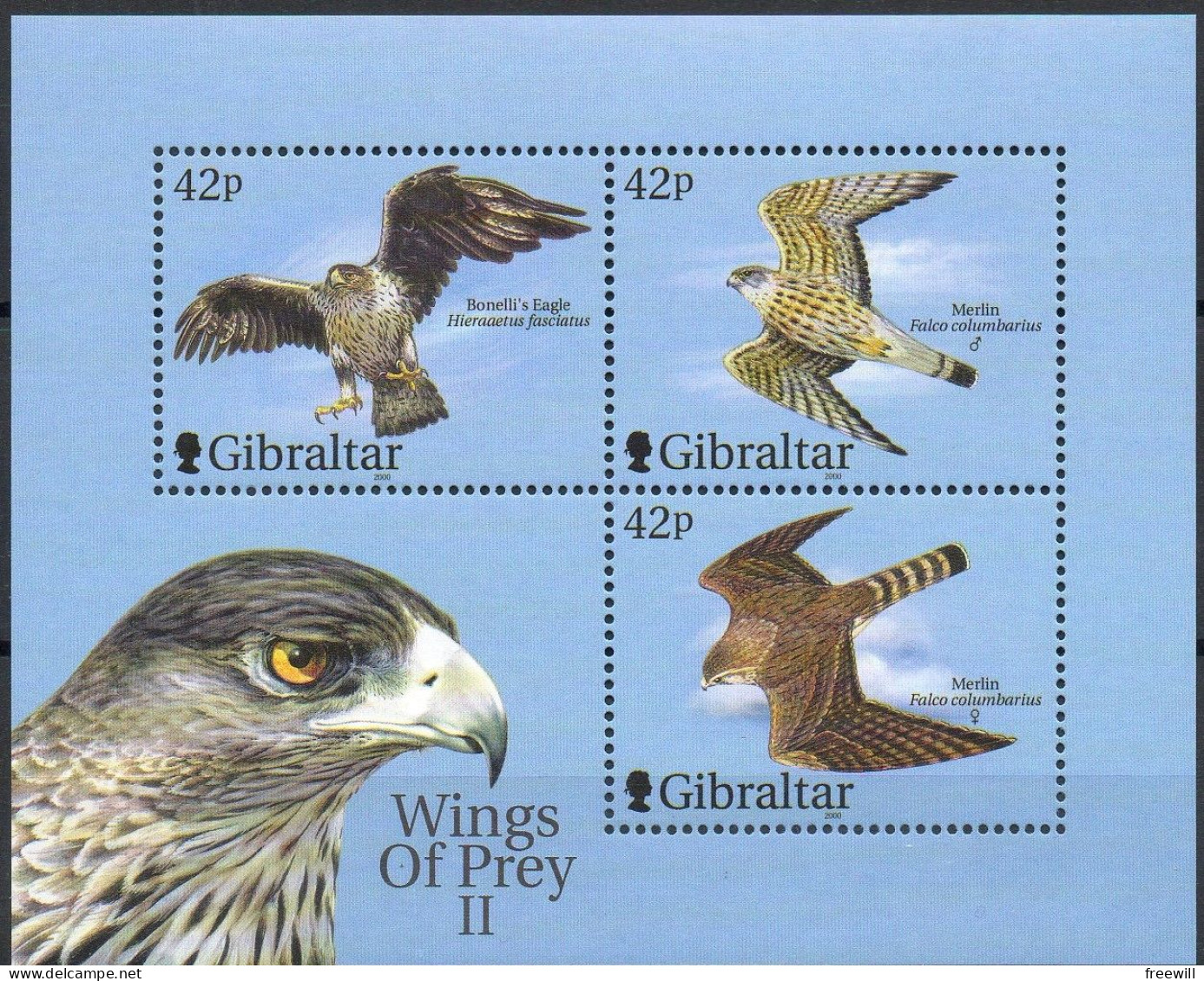 Gibraltar Oiseaux - Birds - Vogels 2000 XXX - Gibraltar