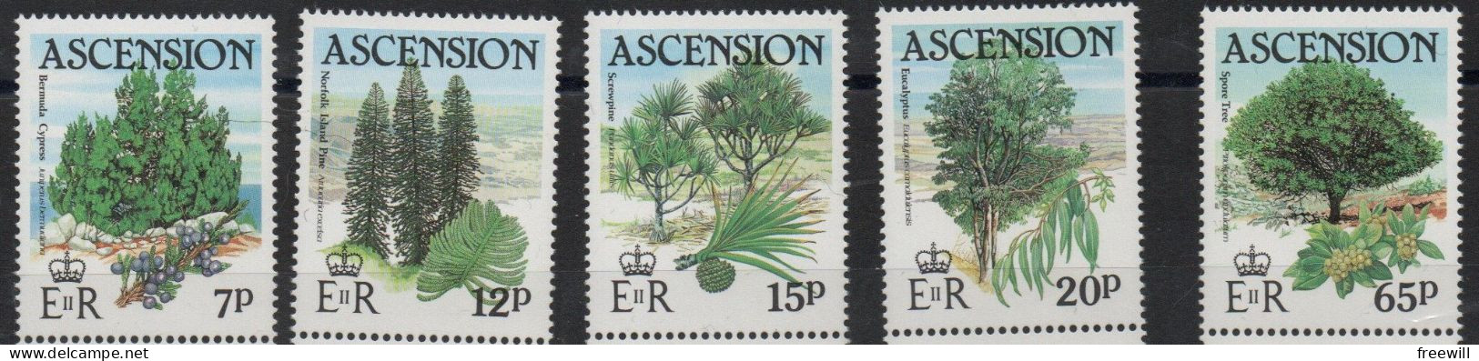Ascension Arbres- Trees -Bomen  XXX 1982 - Ascension