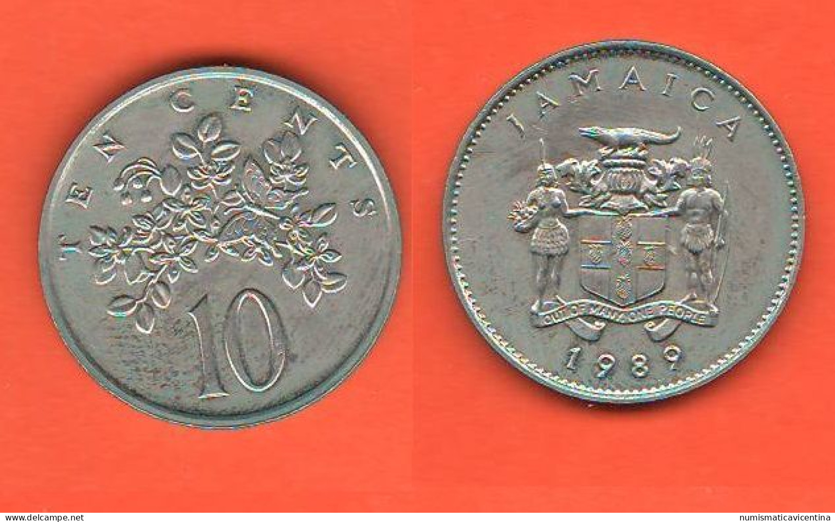 Jamaica Giamaica 10 Cents 1989 - Jamaique