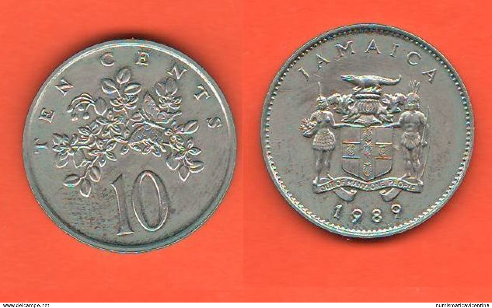 Jamaica Giamaica 10 Cents 1989 - Jamaica
