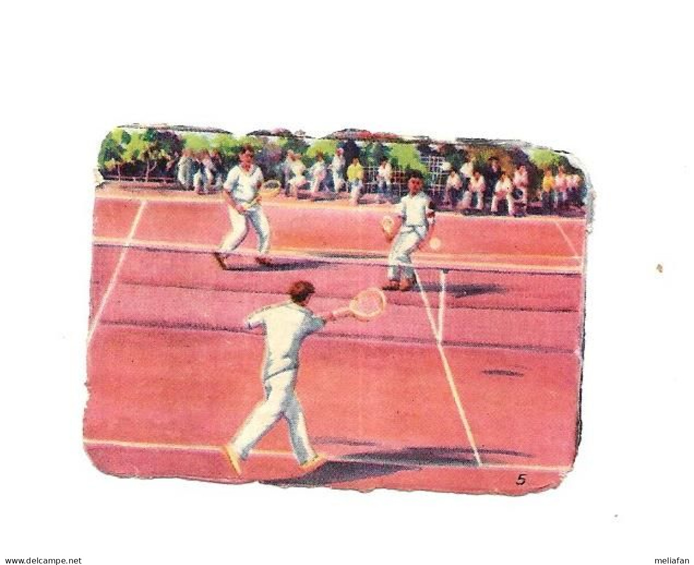 DX51 - IMAGES CIRAGE SADOL - TENNIS - Autres & Non Classés