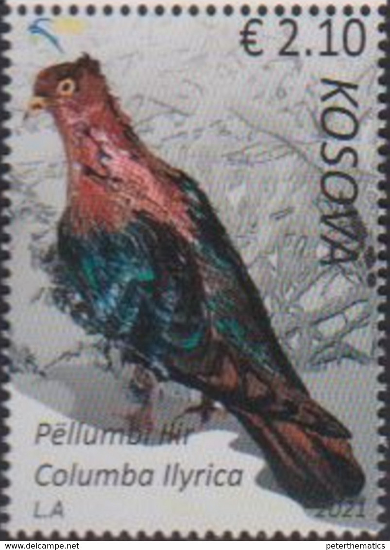 KOSOVO, 2021, MNH, BIRDS, PIGEONS,1v - Pigeons & Columbiformes
