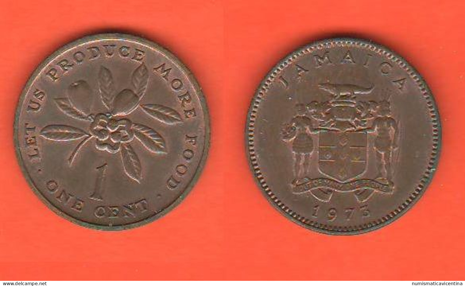 Jamaica Giamaica 1 Cent 1973 FAO - Jamaica