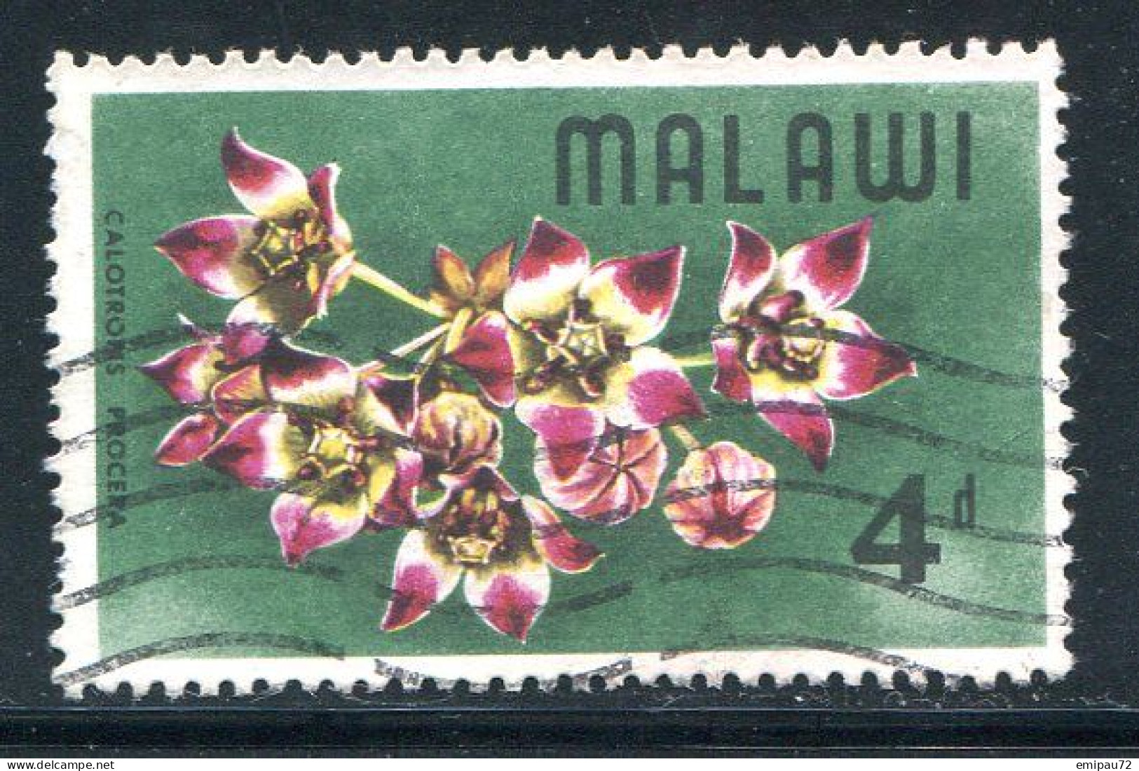 MALAWI- Y&T N°80- Oblitéré - Malawi (1964-...)