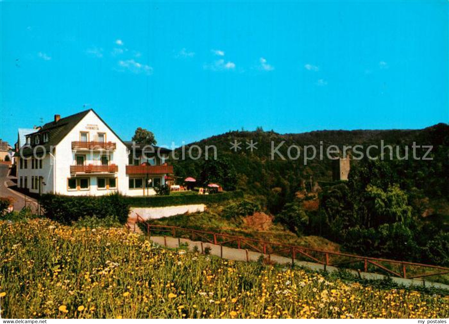 73010311 Manderscheid Eifel Pension Sonneck Manderscheid - Manderscheid