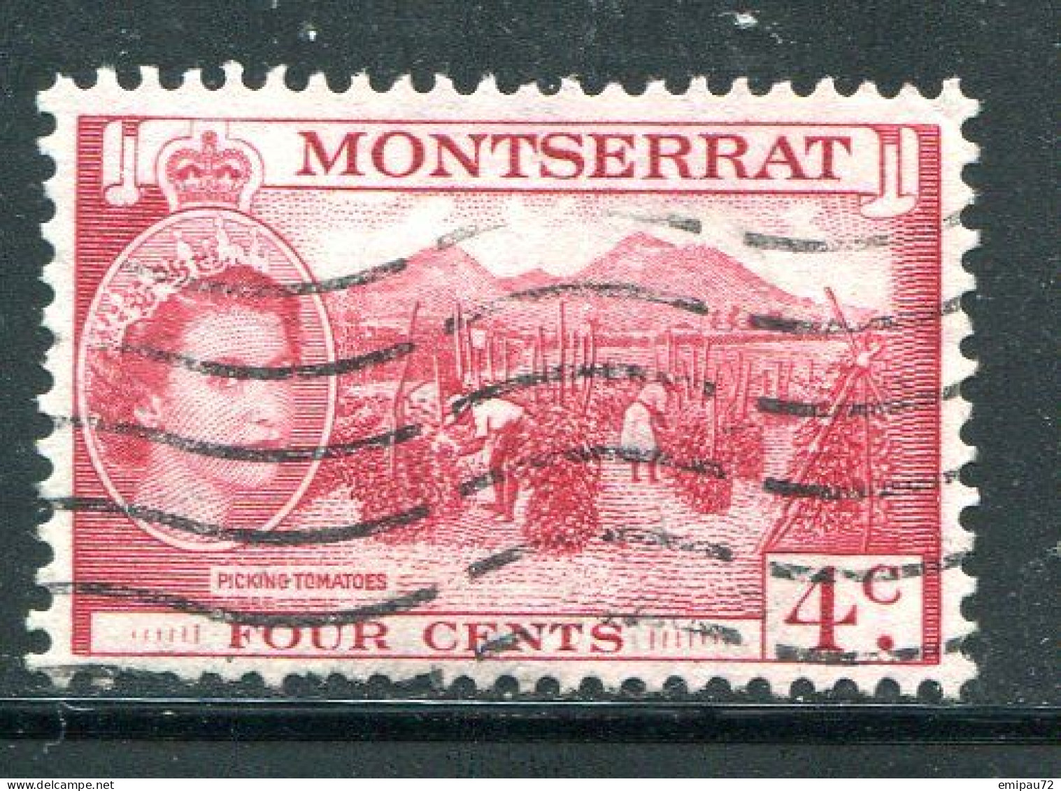 MONTSERRAT- Y&T N°134- Oblitéré - Montserrat
