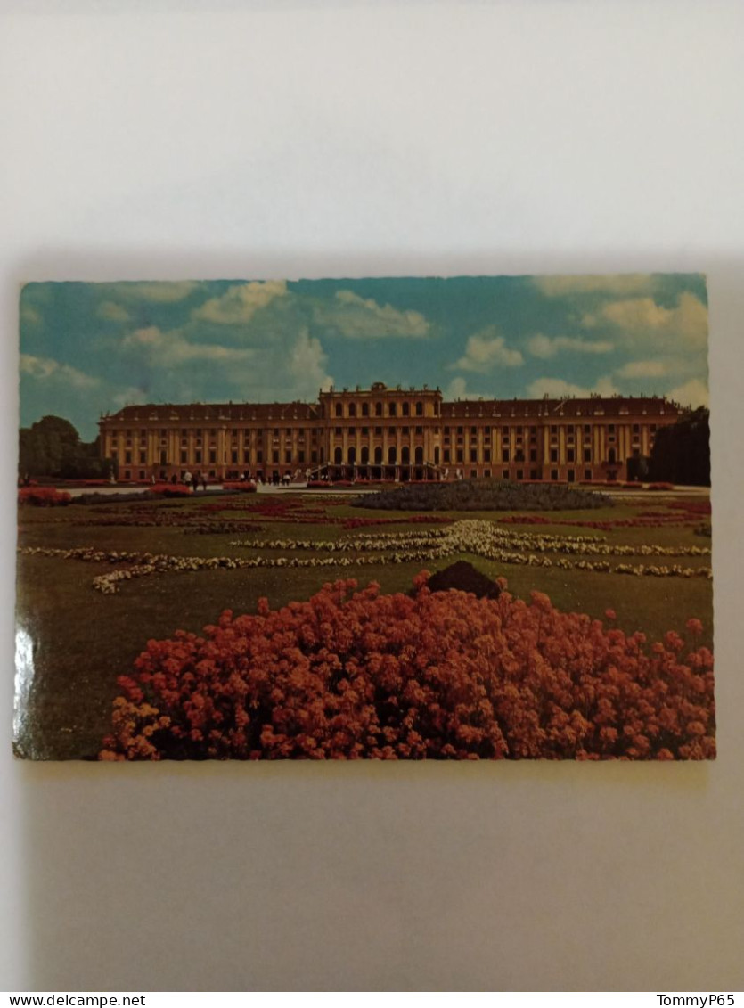 Cartolina Austria - Palacio De Schönbrunn