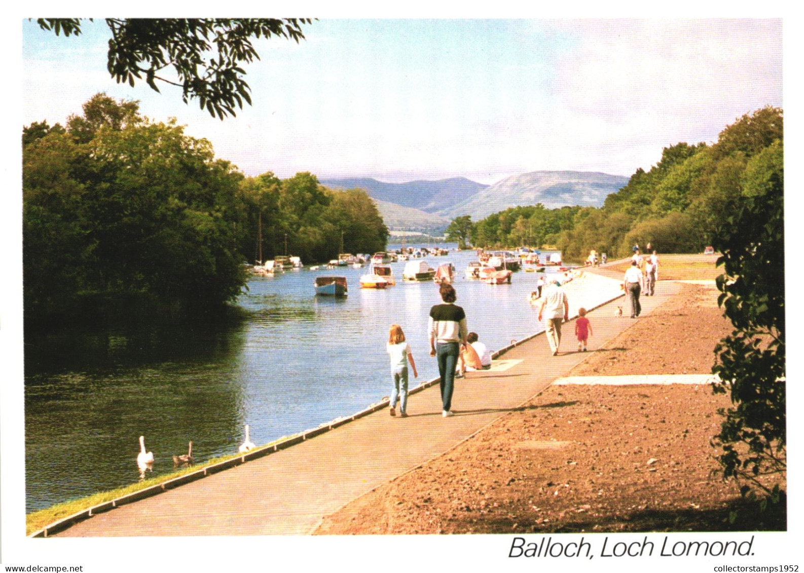 BALLOCH, DUNBARTONSHIRE, LOCH LOMOND, LAKE, BOATS, DUCK, SCOTLAND, UNITED KINGDOM, POSTCARD - Dunbartonshire