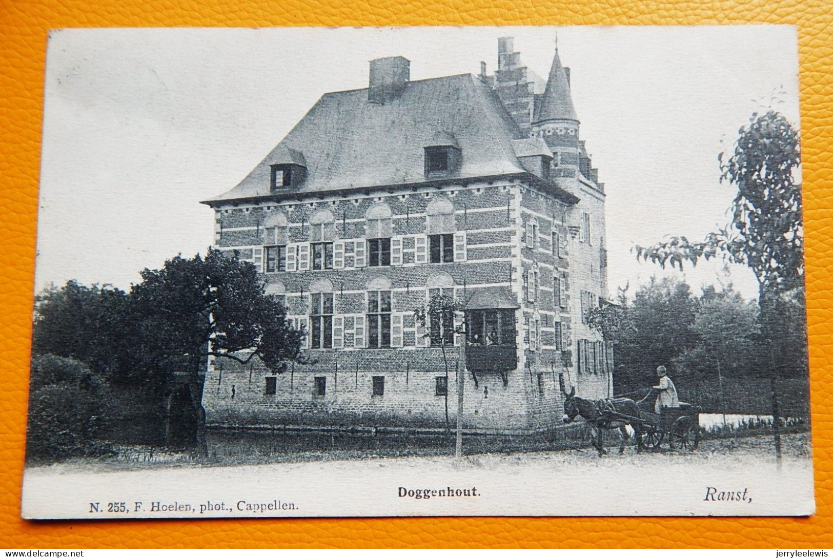 RANST  -  Doggenhout   -  1908 - Ranst