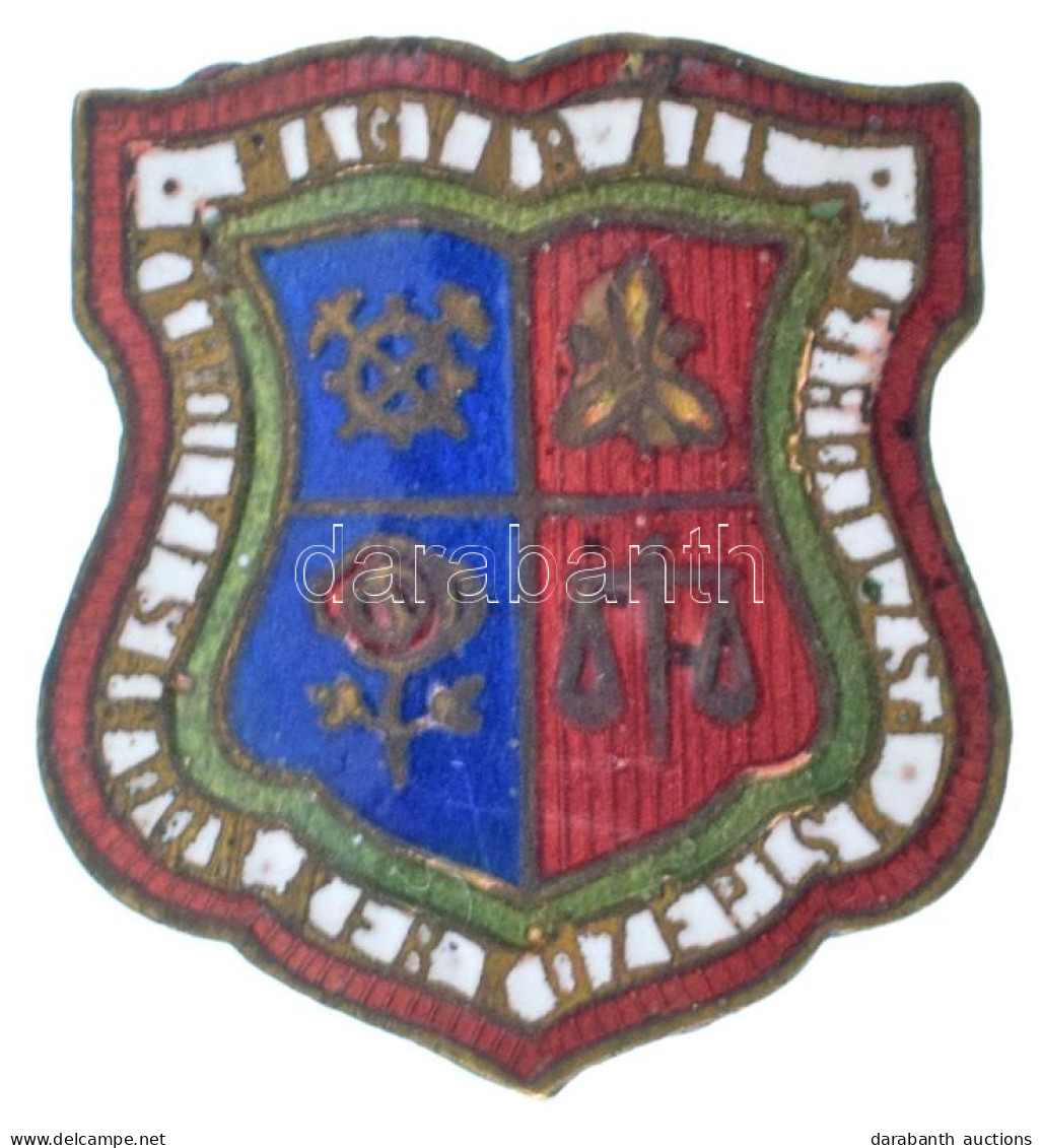 ~1950-1960. "Magyar Állami Károlyi Sándor Ref. Középiskola Pestszentlőrinc" Zománcozott Bronz Iskolajelvény (18x16mm) T: - Unclassified