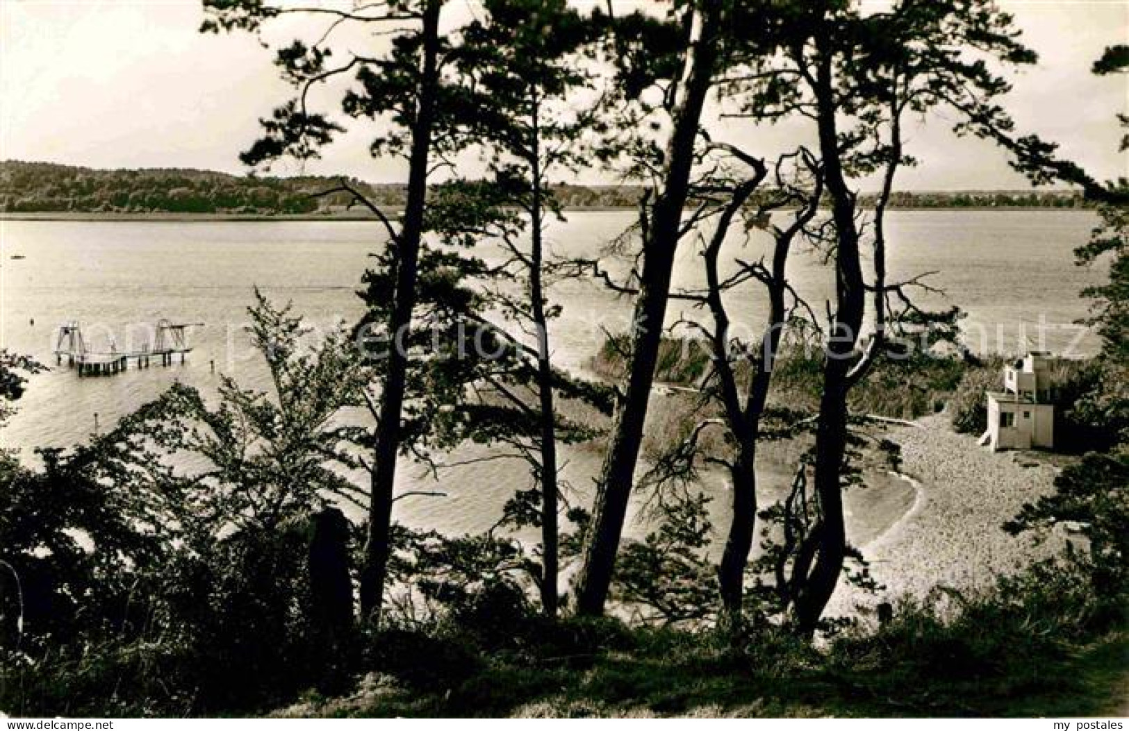 72690816 Waren Mueritz Seebad Ecktannen Strand Waren Mueritz - Waren (Müritz)