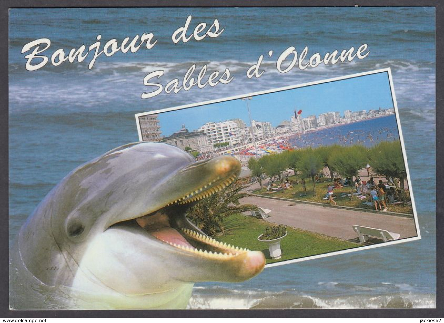 121187/ Dauphin, Bonjour Des Sables D'Olonne - Dolphins