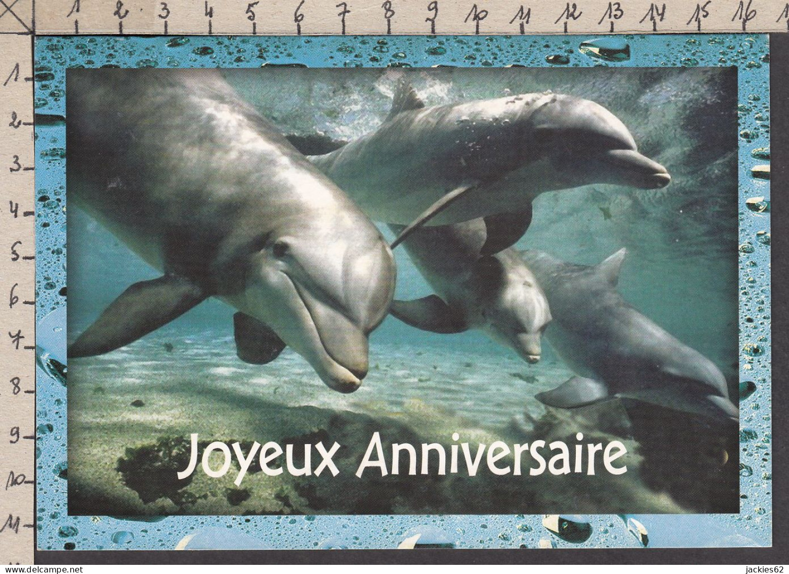 116540GF/ Dauphins - Dauphins